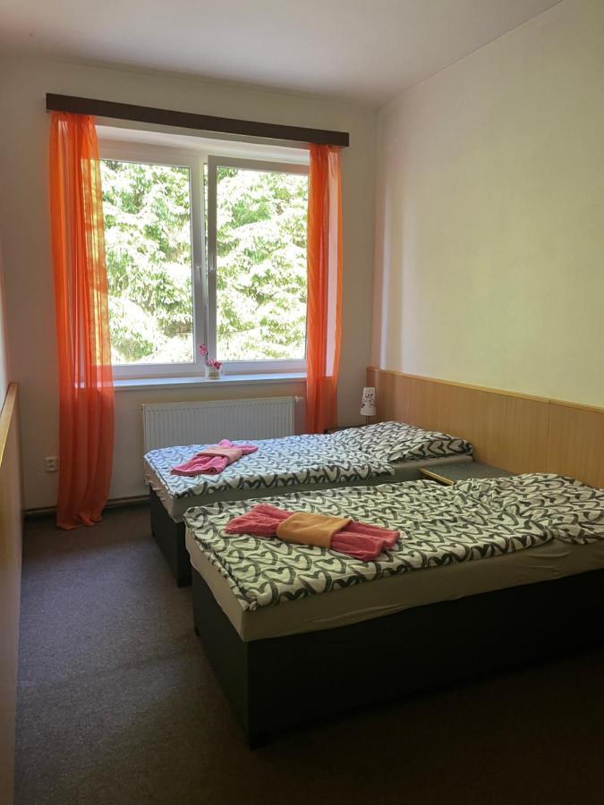 Apartman Novohradky 22 Benesov nad Cernou Exterior photo